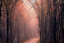 曼城对阵弗鲁米嫩,这场世俱杯决赛会有哪些看点?